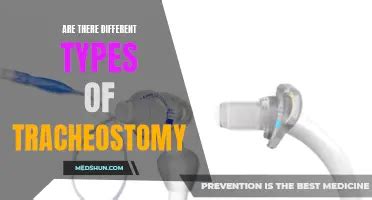 Understanding The Portex Tracheostomy Procedure: Everything .